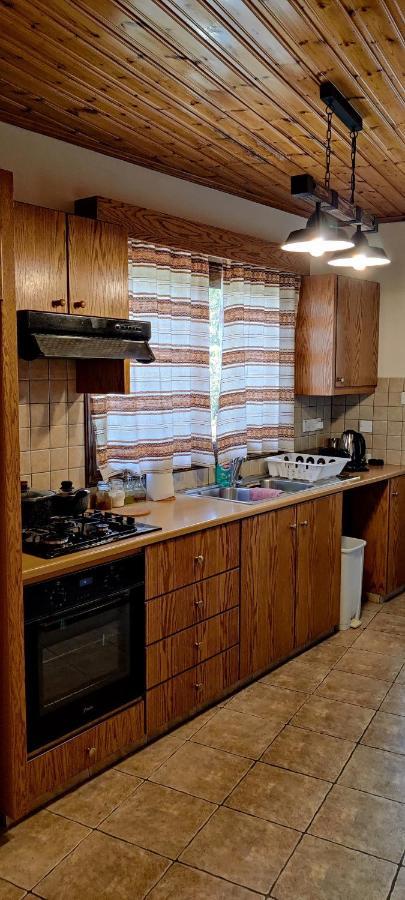 Το Σπίτι Του Προκόπη Villa Nicosia Ngoại thất bức ảnh